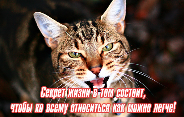 Ко всему относиться как можно легче