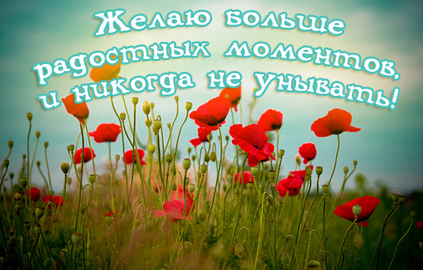 Желаю больше радостных моментов