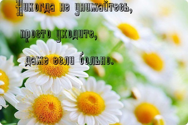 Никогда не унижайтесь