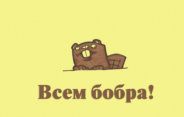 Всем бобра!