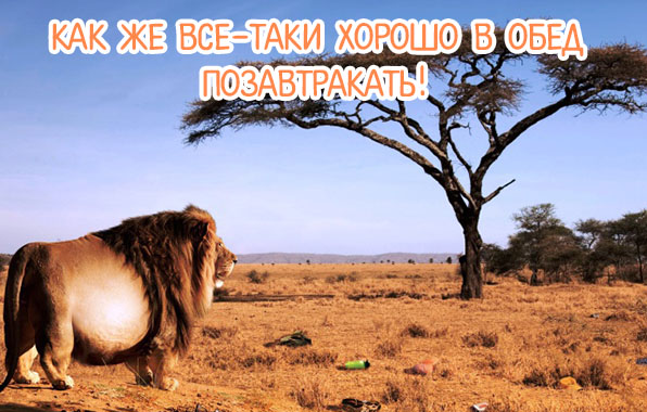 Хорошо в обед позавтракать