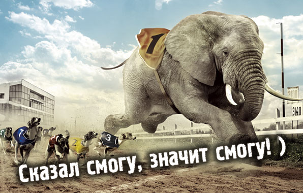 Сказал смогу, значит смогу