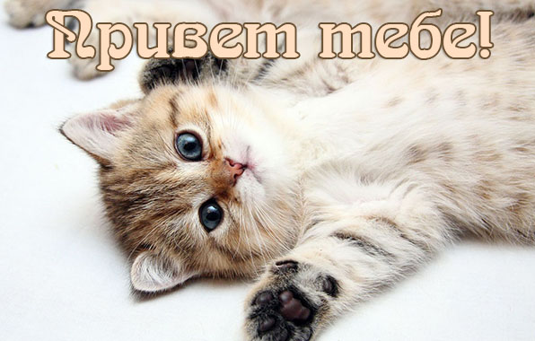 Привет тебе!