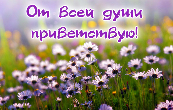 От всей души приветствую