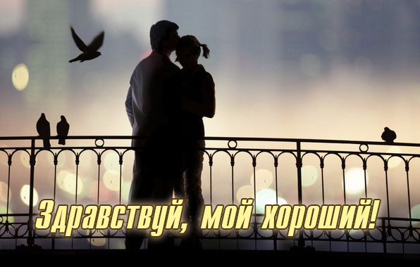 Здравствуй, мой хороший!