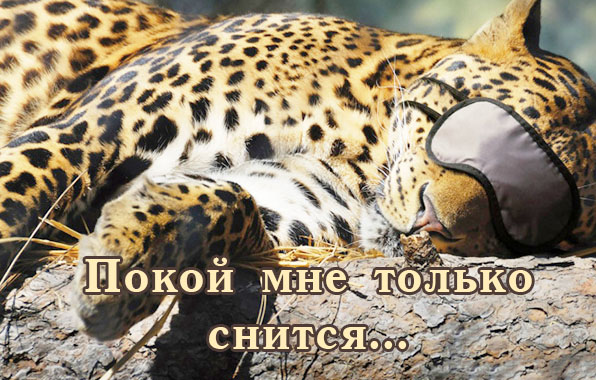 Покой мне только снится..