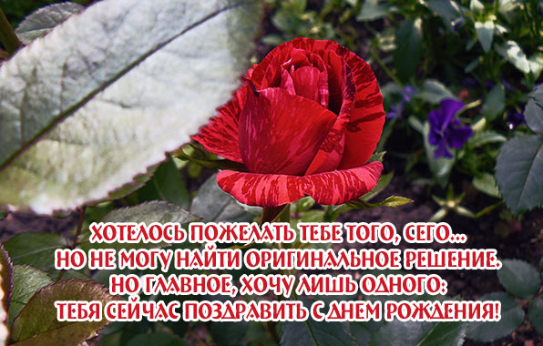 Тебя сейчас поздравить с днем рождения!