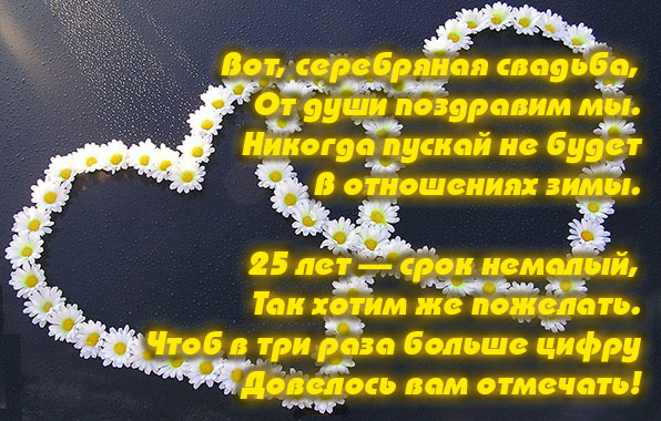 Вот, серебряная свадьба