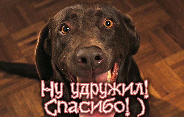 Ну удружил! Спасибо!