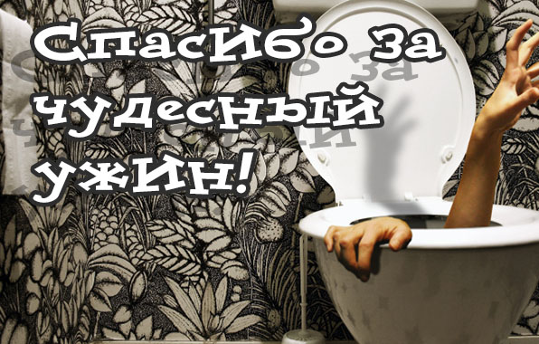 Спасибо за чудесный ужин