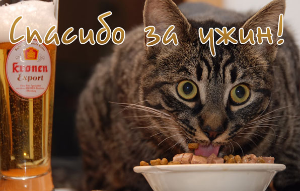 Спасибо за ужин!