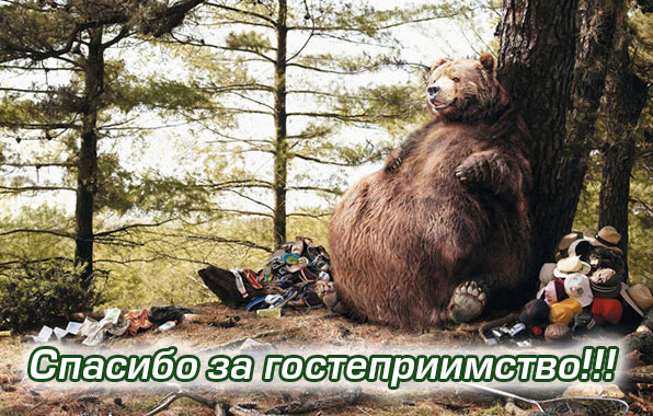 Спасибо за гостеприимство
