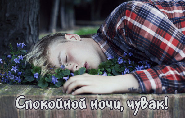 Спокойной ночи, чувак