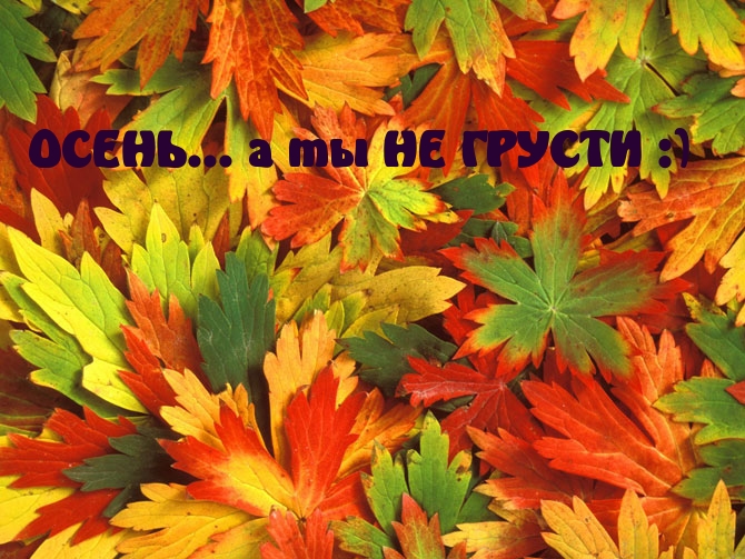 ОСЕНЬ… а ты НЕ ГРУСТИ :)