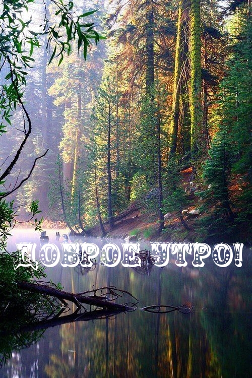 ДОБРОЕ УТРО!