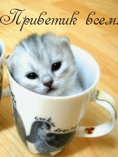 Приветик всем