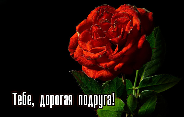 Тебе, дорогая подруга!