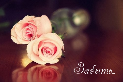 Забыть