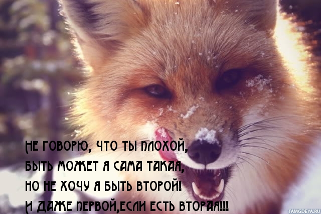 Но не хочу я быть второй