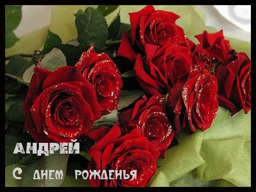 Андрей, с днем рожденья