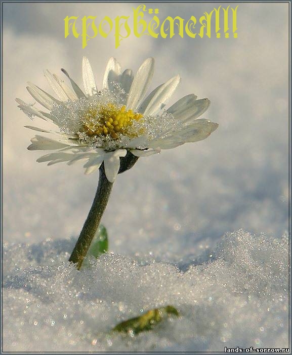 Прорвёмся!