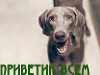 Приветик всем