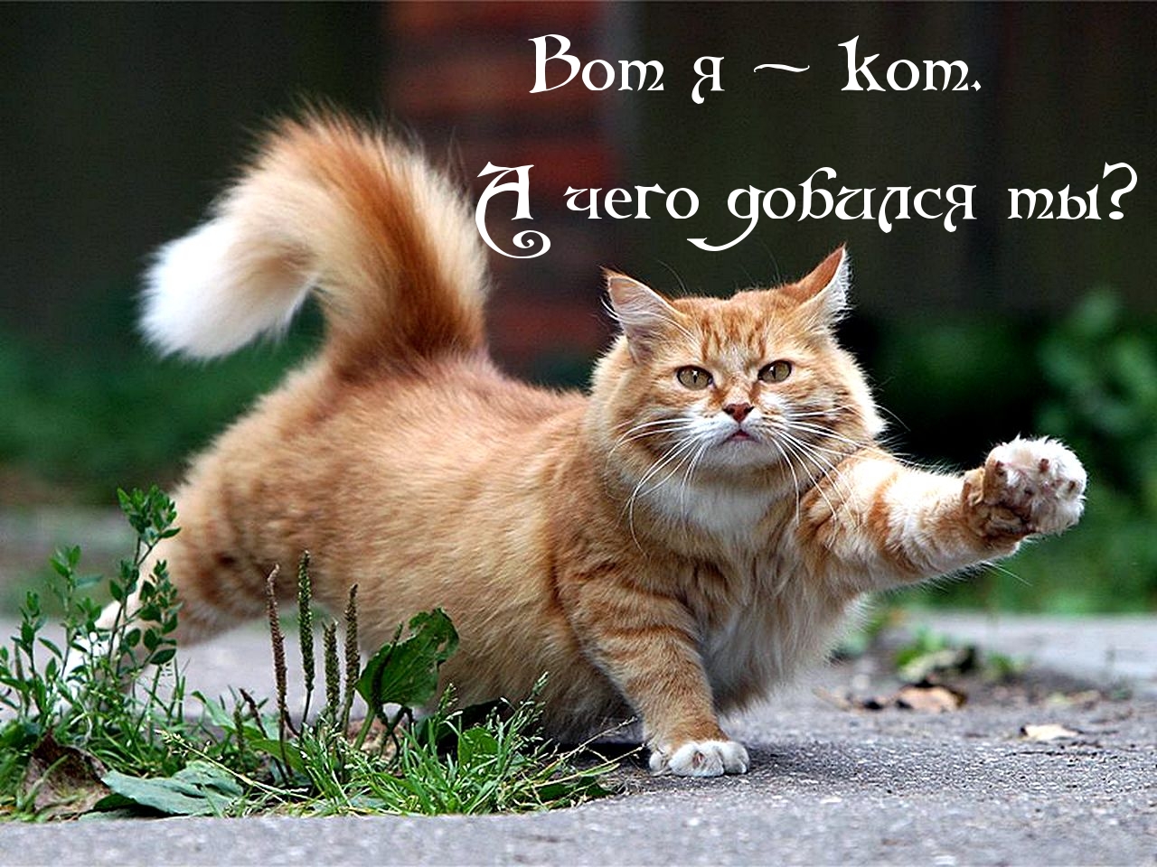 А чего добился ты?