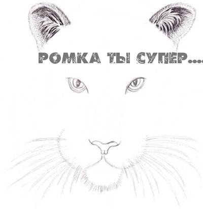 Ромка ты супер