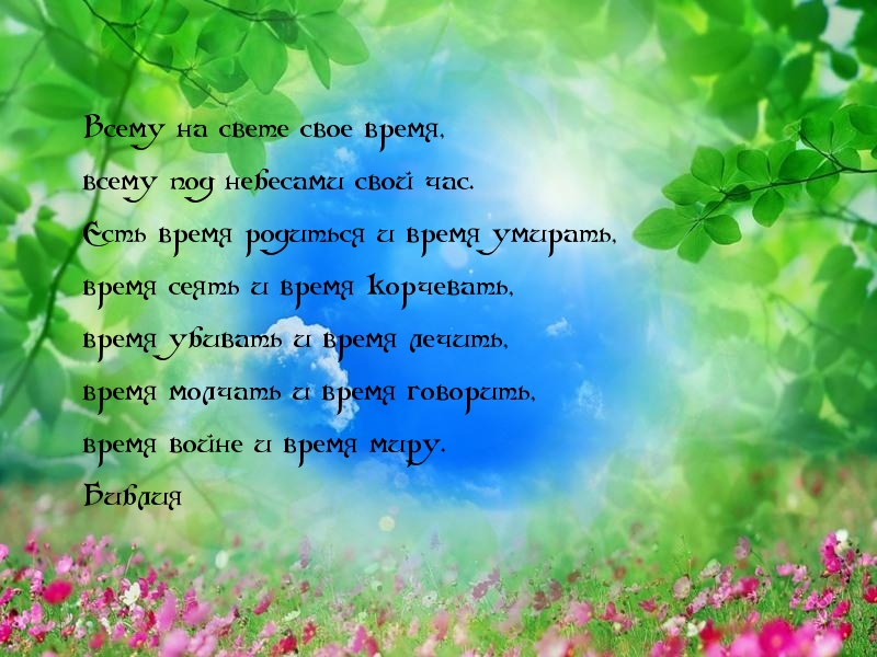Картинки с надписями.  Всему на свете свое время.