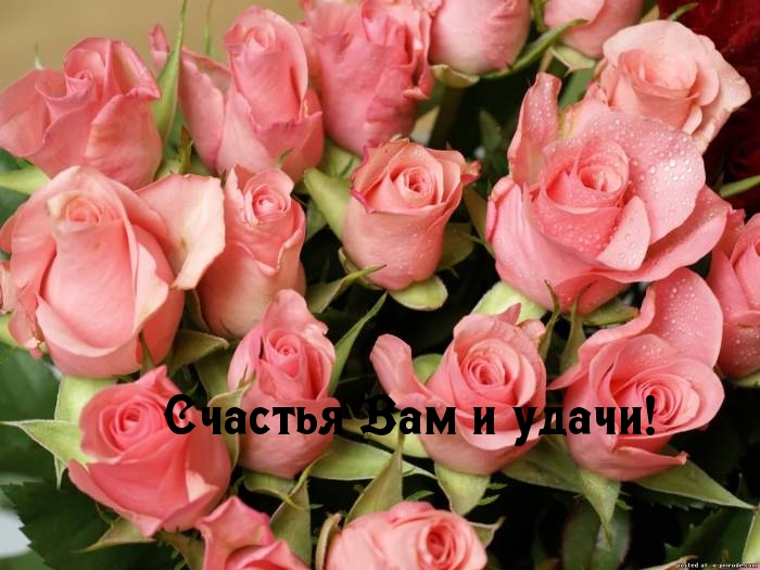 Счастья Вам и удачи!