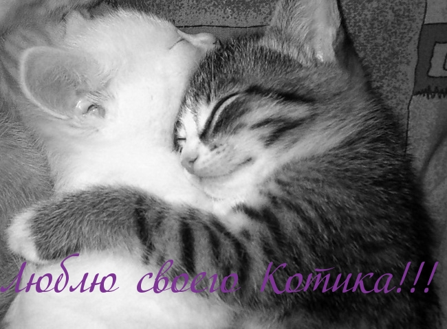 Люблю своего Котика!