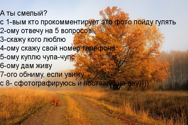 Вопросы для друзей соц сети