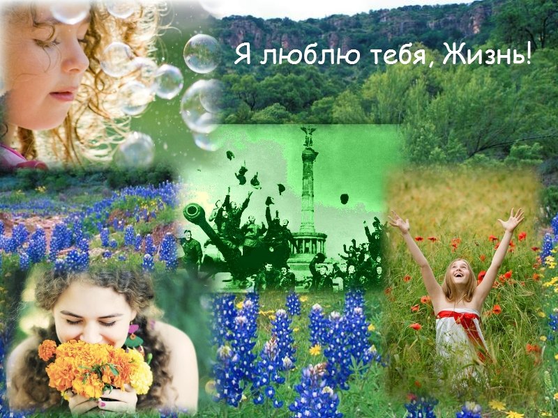 Картинки с надписями.  Я люблю тебя, Жизнь!.