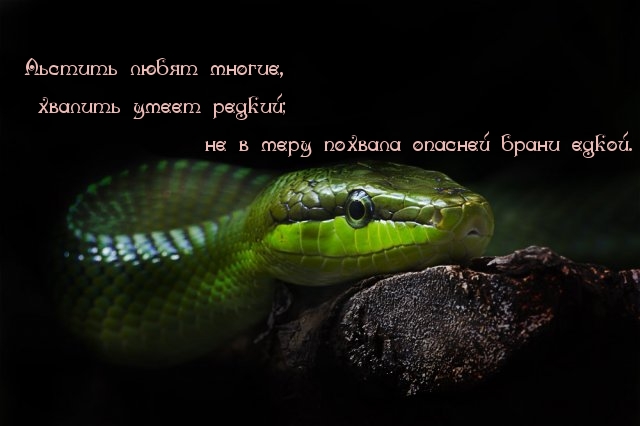 Похвала опасней брани едкой