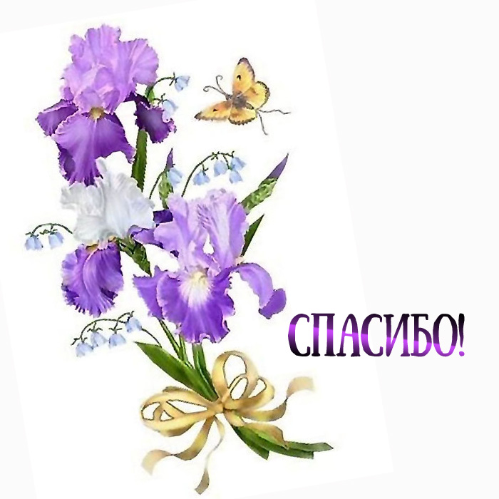 Спасибо!