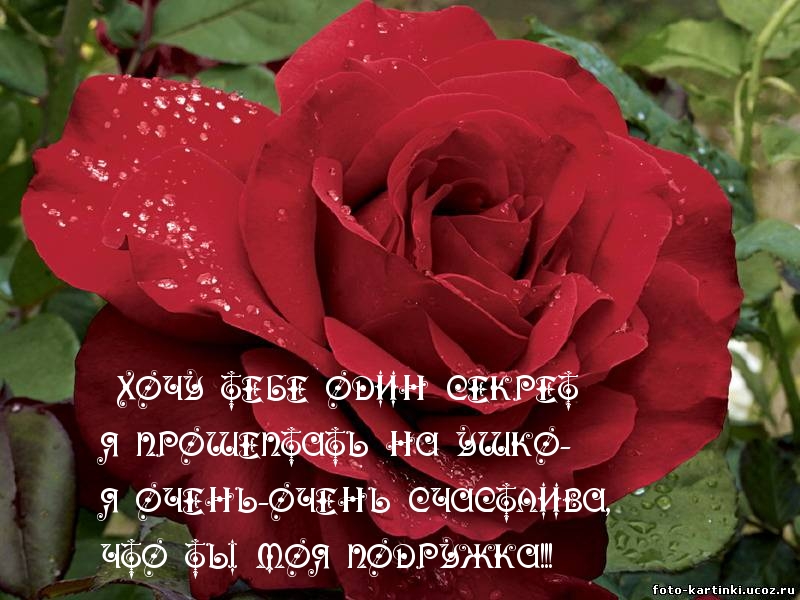 Я счастлива, что ты моя подружка