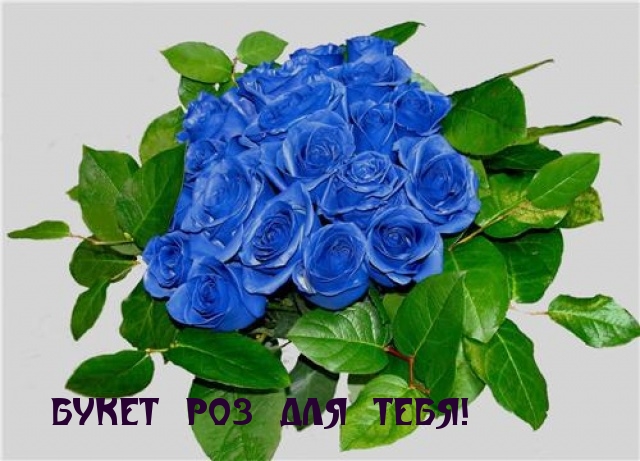 БУКЕТ РОЗ ДЛЯ ТЕБЯ!