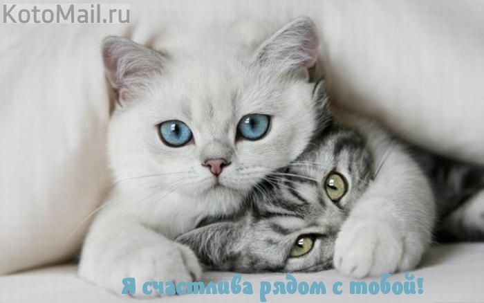 Я счастлива рядом с тобой!