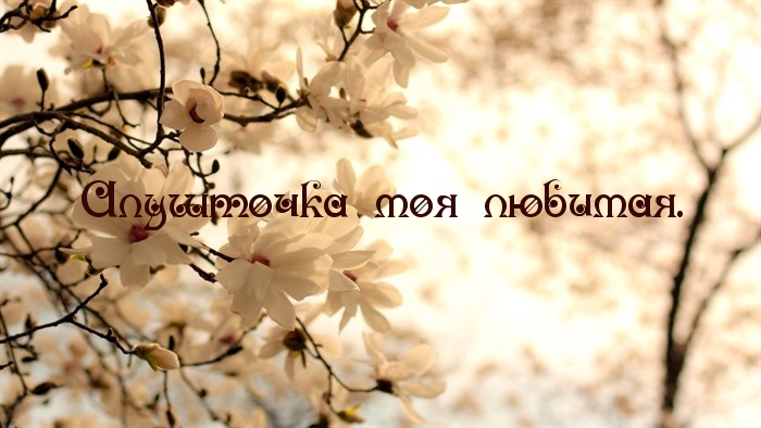 Алушточка моя любимая