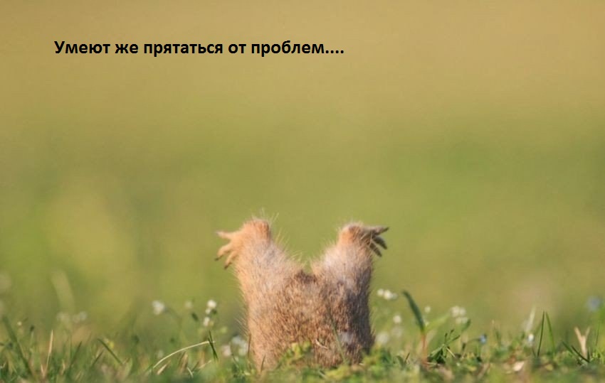 Спрятаться от проблем…