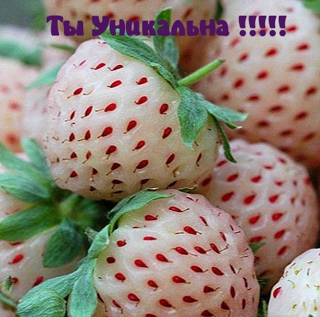 Ты Уникальна !