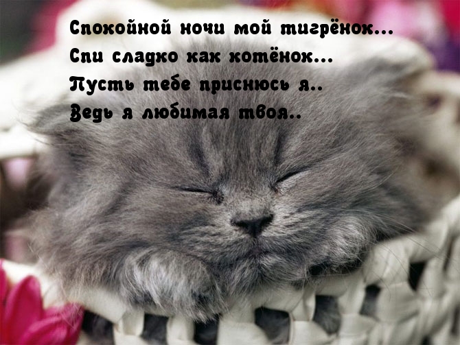 Картинки с надписями.  Спи сладко, тигренок....