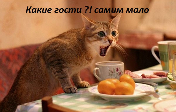 Какие гости? Самим мало