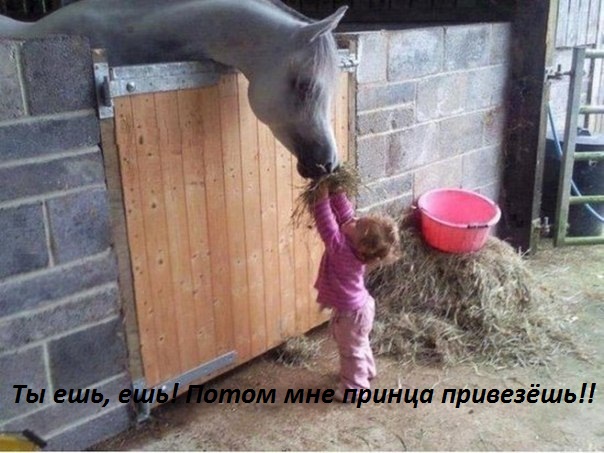 Потом принца привезёшь!!