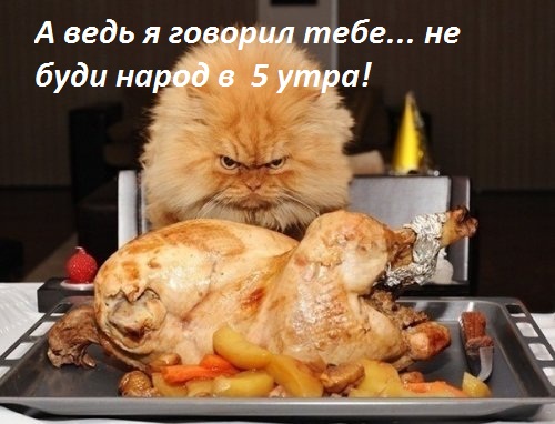 не буди  в  5 утра!