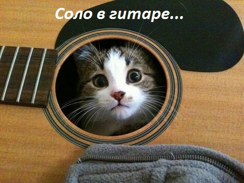 Картинки с надписями.  Соло в гитаре.