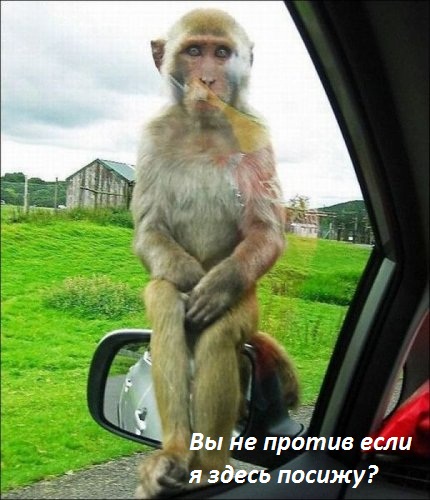 не против, если я посижу?