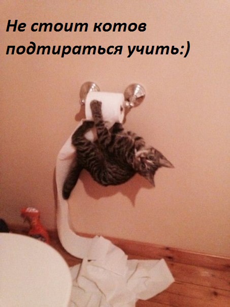 Не надо котов  подтираться…