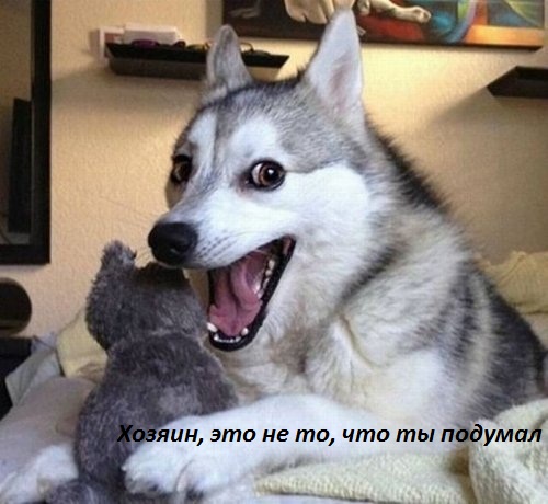 это не то, что ты подумал
