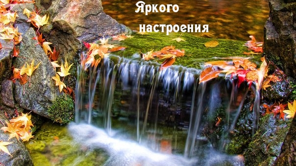 Яркого  настроения
